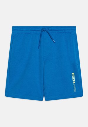 Blue swim shorts with an elastic waistband and drawstring. Features a logo on the side and a smooth, lightweight fabric texture.