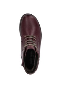 Josef Seibel ANNA  - Stivaletti stringati - plum
