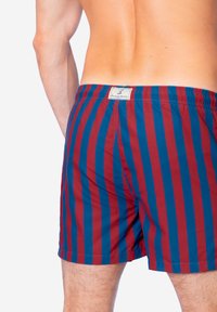 Costumi da bagno a strisce rosse e blu con elastico in vita, dotati di un piccolo etichetta del marchio sul retro. Il materiale sembra leggero e liscio.