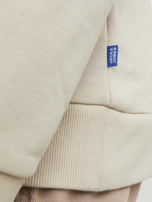 JJEBRADLEY CREW - Sweatshirt - moonbeam4