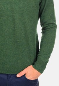 Mahogany HIPPOLYTE - Pullover - cedar