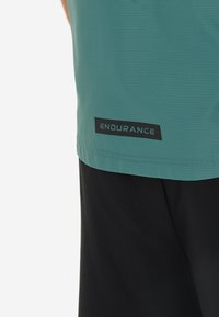 Endurance WESTE HUGOEE - Liivi - north atlantic