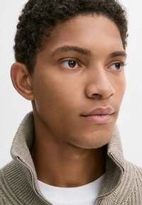 Massimo Dutti MOCK NECK - Jumper - brown