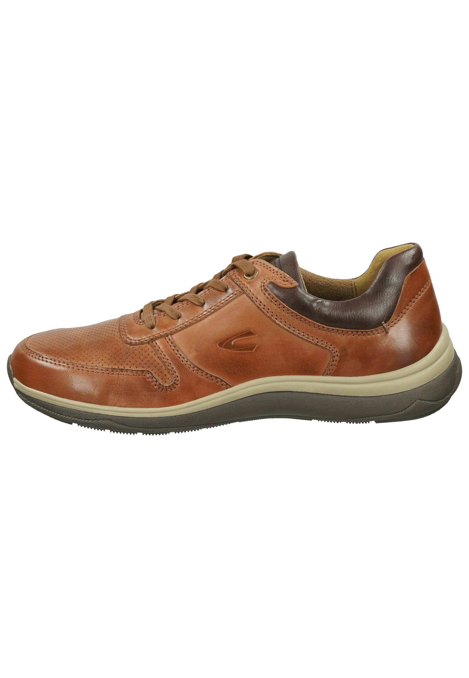 Camel active Herenschoenen | Gratis verzending* | ZALANDO