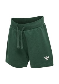 Gröna bomullsshorts med elastisk midja, snörning och en liten vit bietikett vid nederkanten. Slät textur.