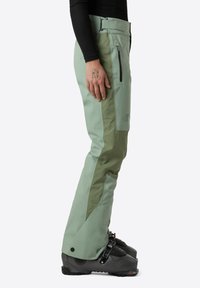 The North Face W LENADO PANT - Snowboardové kalhoty - slate moss bark mist