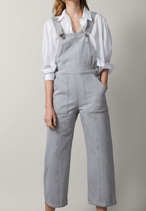 Grijze denim overalls met verstelbare bandjes, brede cropped pijpen, voorzak en gestikte details, gedragen over een wit overhemd met knopen.