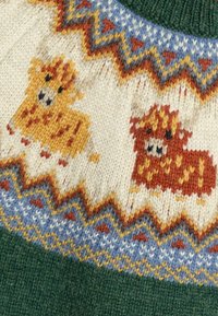 Detail eines gestrickten Wollpullovers mit zwei bunten Yaks in Gelb und Orange, geometrischen Mustern in Blau, Gelb und Rot über einem dunkelgrünen Bündchen.