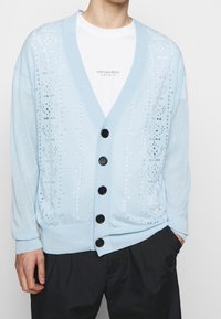 Cardigan azzurro chiaro con maniche lunghe, scollo a V e sei bottoni neri. Presenta accenti decorativi e scintillanti lungo un lato.