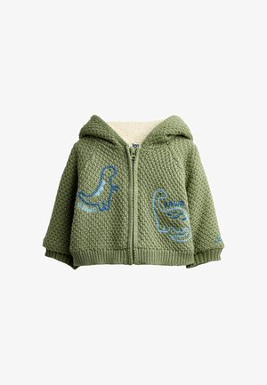 Zielona, dzianinowa kurtka niemowlęca z kapturem, zapięciem na zamek, niebieskim haftem dinozaura i napisem "RAWR" po obu stronach.