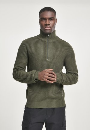 TROYER - Strickpullover - olive