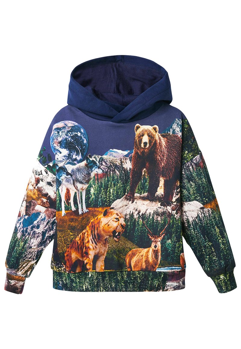 Desigual Sweater blauw