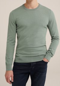 Světlezelený pletený svetr s kulatým výstřihem, dlouhými rukávy a žebrovanými manžetami a lemem. Nosený přes tmavé džíny. Hladká textura.