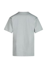 Helles Grau, Kurzarm-T-Shirt mit Rundhalsausschnitt. Weicher, glatter Stoff ohne Muster. Normale Passform mit geradem Saum und kurzen Ärmeln.