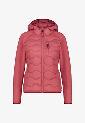 alife & kickin ARWEN - Winterjacke - astro dust