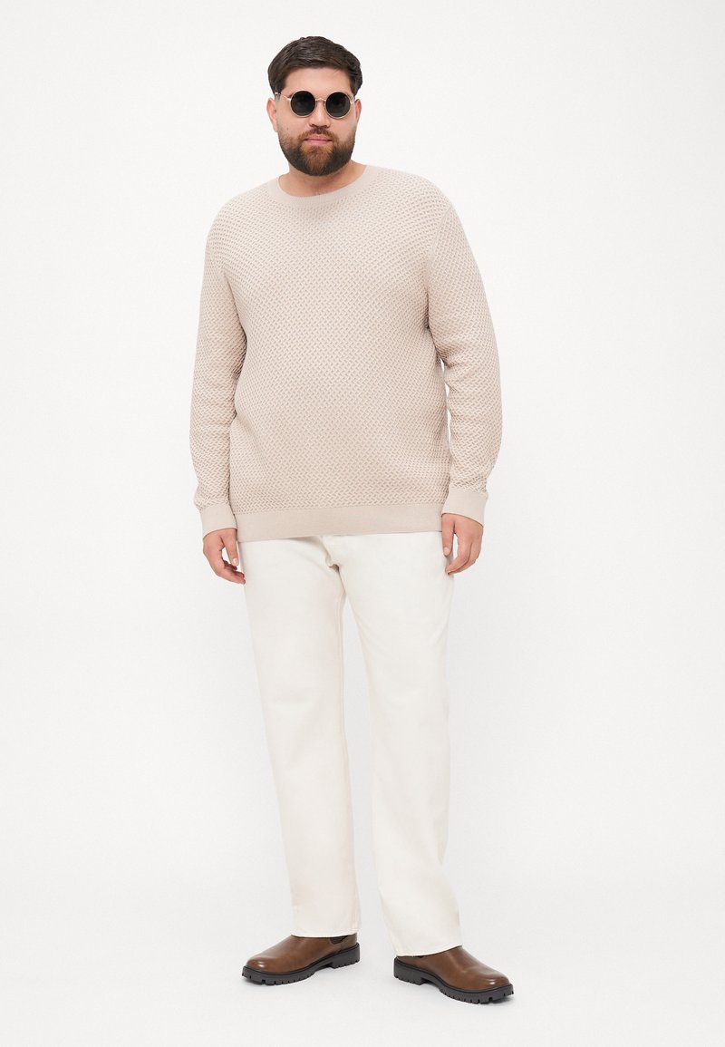 Jack & Jones JPRBLUBARKLEY CREW NECK - Trui - simply taupe/taupe Jack & Jones JPRBLUBARKLEY CREW NECK - Trui - simply taupe/taupe
