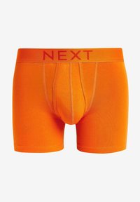Next A FRONTS 10 PACK - Apakšbikses - rich brights