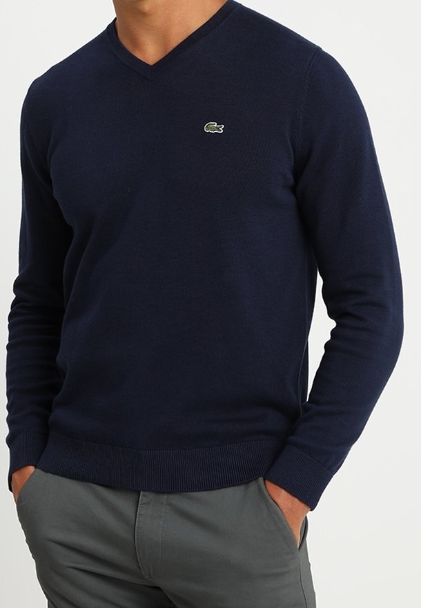 Homme portant un pull bleu marine en V avec un petit logo crocodile vert sur la poitrine et un pantalon gris, les mains dans les poches.