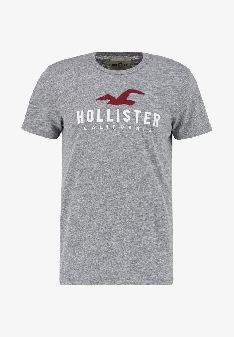 Gray short-sleeve T-shirt made of soft fabric featuring a maroon seagull logo and white text "HOLLISTER CALIFORNIA" across the chest.