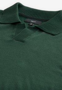 Next REGULAR FIT - Džemper - green