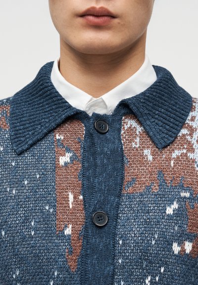 Κοντινό πλάνο ενός ατόμου που φοράει μπλε και καφέ ζακάρ πλεκτή ζακέτα πάνω από λευκό πουκάμισο με γιακά, με κουμπιά μαύρα δεμένα.