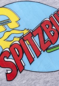 Gray fabric with a textured surface features a blue circular graphic. Bold red text reads "SPITZBU." Yellow and green accents are visible.