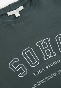 Next HEAVYWEIGHT SHORT SLEEVE CREW NECK STANDARD - Marškinėliai su spaudiniu - soho graphic