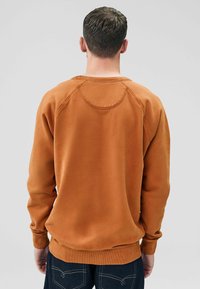 Sudadera de color óxido con un cuello y puños acanalados, que presenta un detalle de costura en la parte posterior y un tejido suave y texturizado.