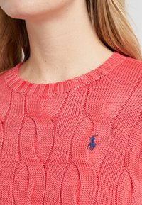 Polo Ralph Lauren Stickad tröja - red