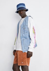Dickies CHASE CITY - Shorts - mocha bisque