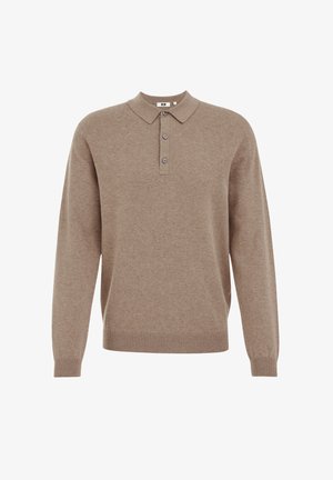 Brauner Pullover mit langen Ärmeln, klassischem Kragen und Knopfleiste mit drei Knöpfen, aus weichem Stoff mit glatter Textur.