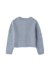 Jasnoniebieski krótki sweter o puszystej fakturze, z długimi rękawami i okrągłym dekoltem. Z tyłu widać gładki, prosty krój bez ozdób.