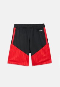 Schwarze und rote Sportshorts mit strukturiertem rotem Einsatz, elastischem Bund und atmungsaktivem Material mit "CLIMACOOL"-Etikett an der Seite.