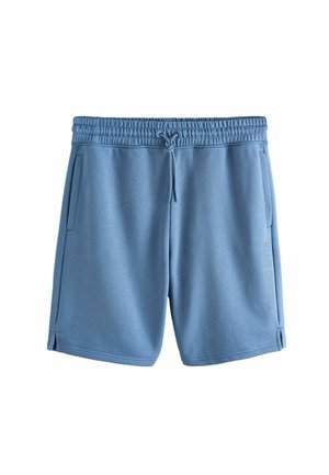 Next, REGULAR FIT - ACTIVE TRAINING DIVISION SHORTS  . - Verryttelyhousut - steel blue