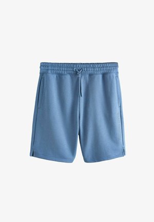 Next, REGULAR FIT - ACTIVE TRAINING DIVISION SHORTS . - Verryttelyhousut - steel blue