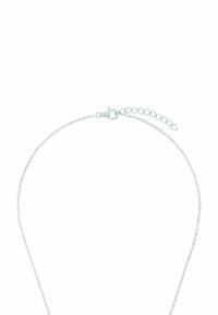 Silverfärgad kedjehalsband med en hummerklämma, justerbar längd med kedjeutvidgning, fina länkar och en polerad yta.