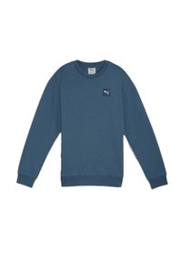 Felpa blu realizzata in tessuto misto cotone, con collo a girocolo, maniche lunghe, polsini a costine e una toppa con logo sul petto.