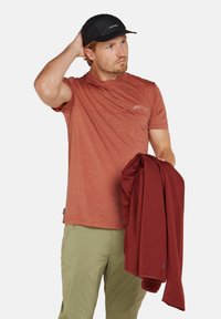 icebreaker Camiseta estampada - cedar wood