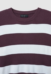 Pull en tricot rayé bordeaux et blanc avec texture côtelée, col rond et étiquette portant "CALLIOPE S" au col.