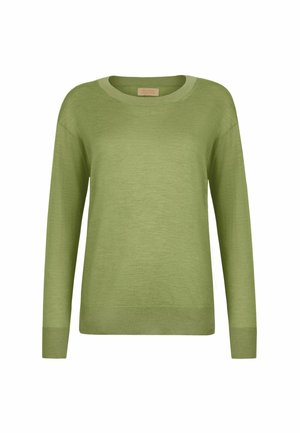 Hellgrüner langärmliger Strickpullover mit Rippbündchen an Ärmeln, Saum und Rundhalsausschnitt vor weißem Hintergrund.