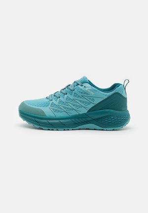 TRAIL DESTROYER WOMENS - Hikingskor - porcelain/shaded spruce/cool grey
