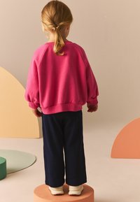 Next LOVE RAGLAN  REGULAR FIT - Mikina - pink
