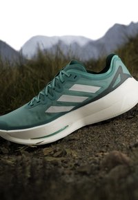 Grøn og hvid Adidas løbesko på jord med græs og bjerge sløret i baggrunden.