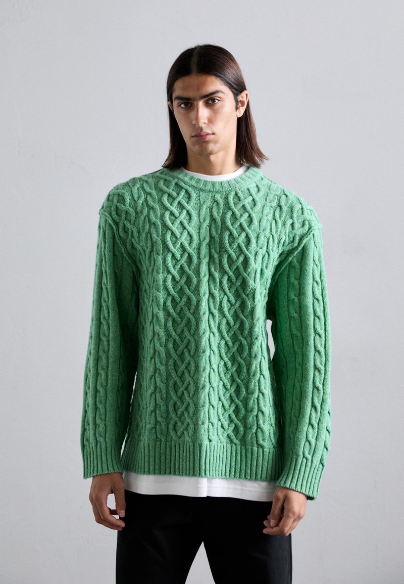 Joven con cabello largo y oscuro, vistiendo un suéter de punto trenzado verde sobre una camisa blanca y pantalones negros, frente a un fondo claro y liso.