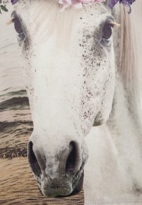Hlava bílé hřebce s květinovým věncem; má strukturovaný čenich, výrazné tmavé oči a pihy na nose proti rozostřenému pozadí.
