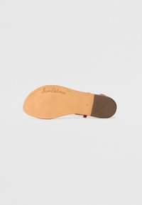 Sandal sole in light tan leather with a textured brown detail. Features handwritten "Sam Edelman" embossed on the surface.