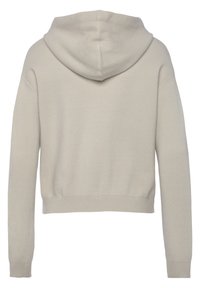 Lichtgrijze, cropped hoodie met een zachte textuur. Bevat een ronde capuchon, lange mouwen en ribgebreide boorden en zoom. Achteraanzicht weergegeven.