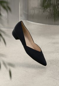 Black flat shoe with a pointed toe design, smooth suede texture, and a low block heel. Inside is a beige lining.