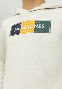 Felpa con cappuccio grigio chiaro caratterizzata da un logo frontale in blu scuro, verde e giallo. Il materiale sembra morbido; include un cappuccio e una tasca a marsupio.