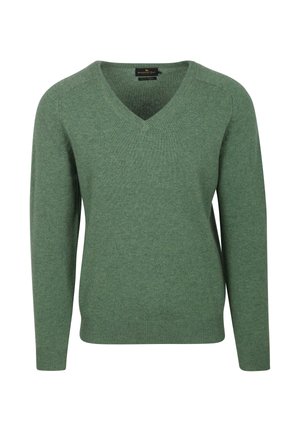 Green v-neck sweater in a soft knit material. Features long sleeves and a ribbed hem. Designed with a classic fit and minimalistic style.
